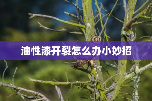 油性漆开裂怎么办小妙招