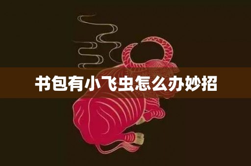 书包有小飞虫怎么办妙招