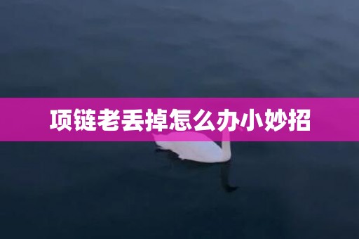 项链老丢掉怎么办小妙招