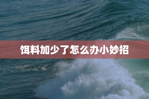 饵料加少了怎么办小妙招