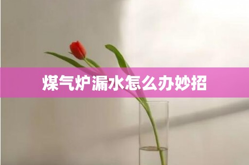 煤气炉漏水怎么办妙招