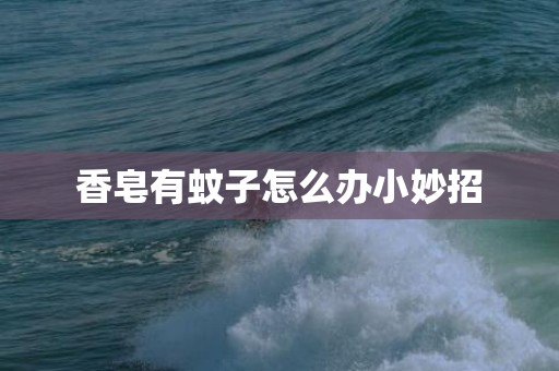 香皂有蚊子怎么办小妙招