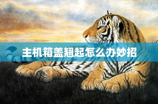 主机箱盖翘起怎么办妙招