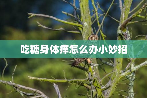 吃糖身体痒怎么办小妙招
