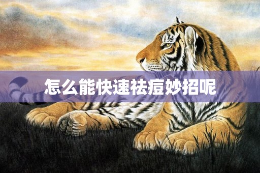 怎么能快速祛痘妙招呢