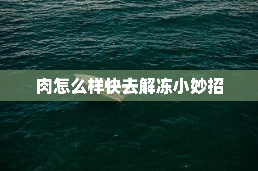肉怎么样快去解冻小妙招