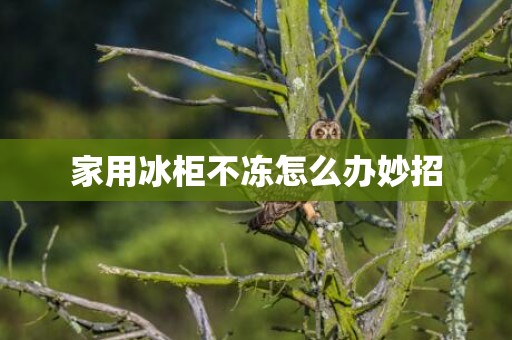 家用冰柜不冻怎么办妙招