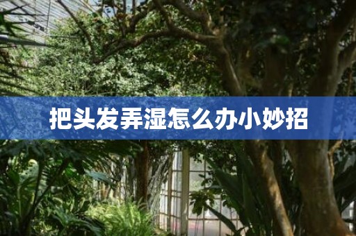 把头发弄湿怎么办小妙招