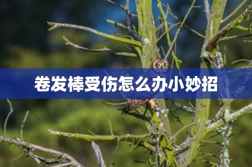 卷发棒受伤怎么办小妙招
