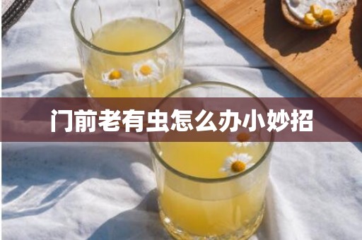 门前老有虫怎么办小妙招
