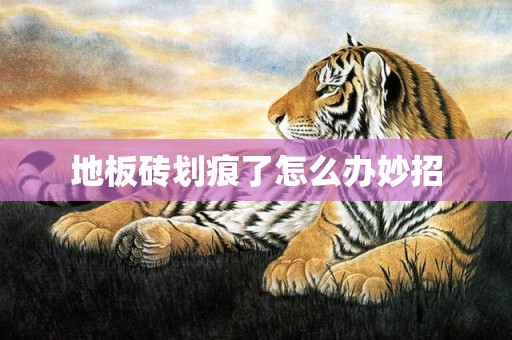 地板砖划痕了怎么办妙招