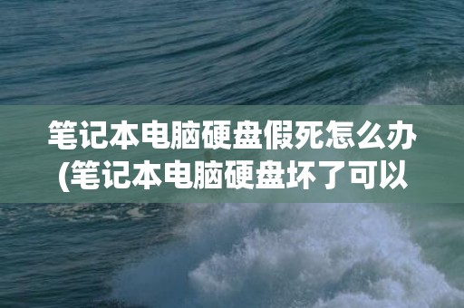 笔记本电脑硬盘假死怎么办(笔记本电脑硬盘坏了可以修复吗)