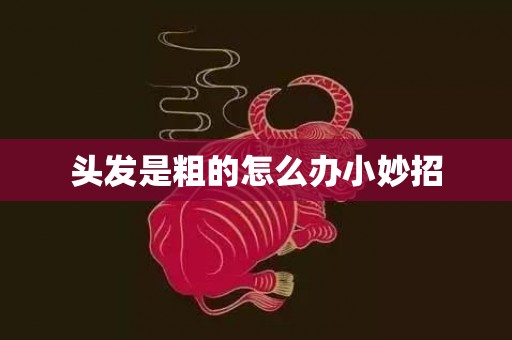 头发是粗的怎么办小妙招