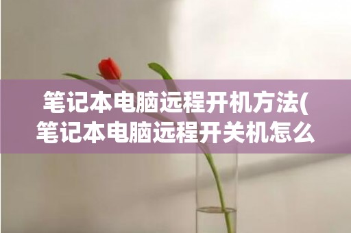 笔记本电脑远程开机方法(笔记本电脑远程开关机怎么设置)