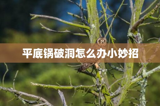 平底锅破洞怎么办小妙招