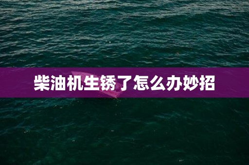柴油机生锈了怎么办妙招