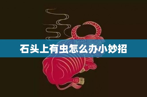石头上有虫怎么办小妙招