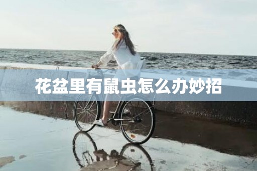 花盆里有鼠虫怎么办妙招