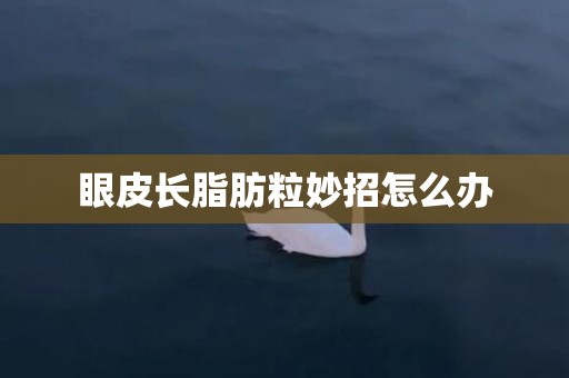 眼皮长脂肪粒妙招怎么办