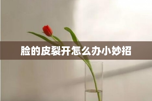 脸的皮裂开怎么办小妙招