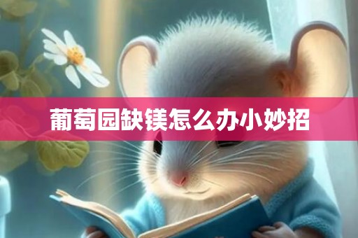 葡萄园缺镁怎么办小妙招