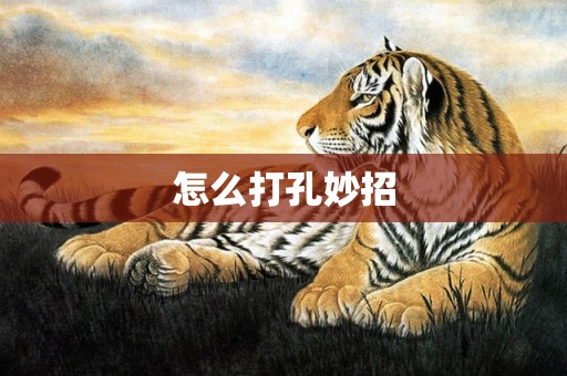 怎么打孔妙招