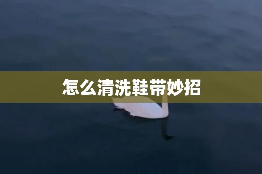 怎么清洗鞋带妙招