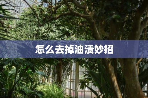 怎么去掉油渍妙招