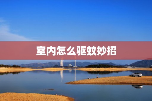 室内怎么驱蚊妙招