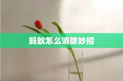 蚂蚁怎么消除妙招