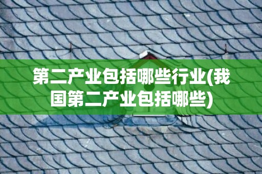第二产业包括哪些行业(我国第二产业包括哪些)