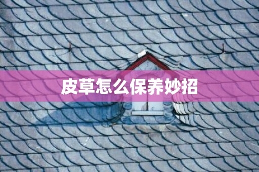 皮草怎么保养妙招
