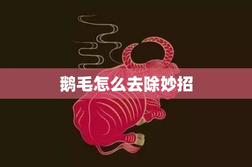 鹅毛怎么去除妙招