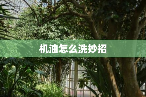 机油怎么洗妙招