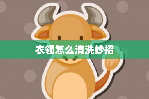 衣领怎么清洗妙招