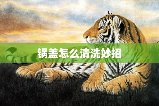 锅盖怎么清洗妙招