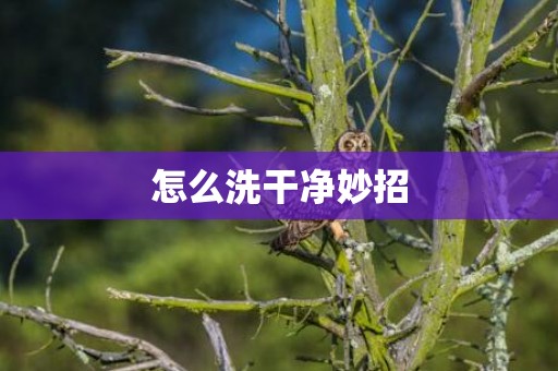 怎么洗干净妙招