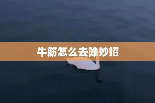 牛筋怎么去除妙招