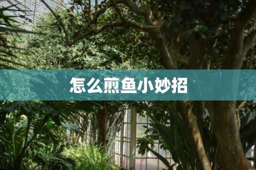 怎么煎鱼小妙招