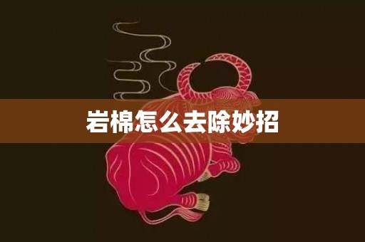 岩棉怎么去除妙招