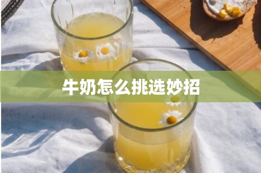 牛奶怎么挑选妙招