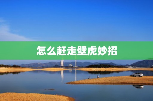 怎么赶走壁虎妙招