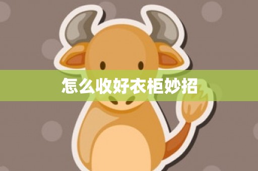 怎么收好衣柜妙招