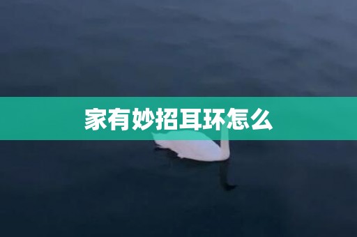 家有妙招耳环怎么