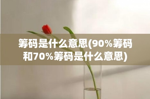 筹码是什么意思(90%筹码和70%筹码是什么意思)