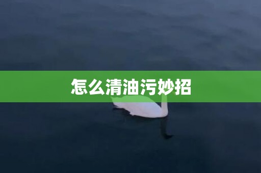 怎么清油污妙招