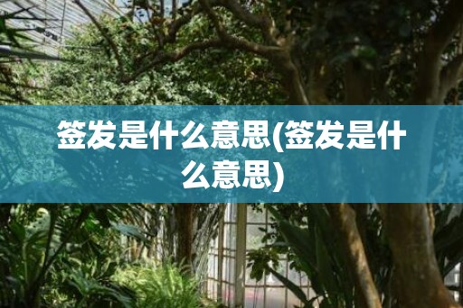 签发是什么意思(签发是什么意思)