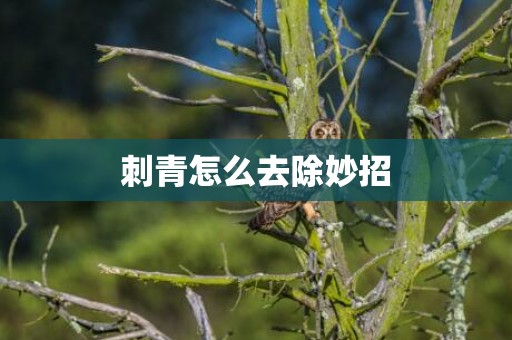 刺青怎么去除妙招