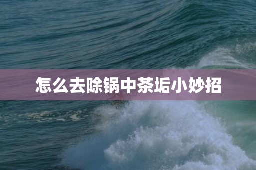 怎么去除锅中茶垢小妙招
