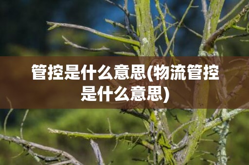 管控是什么意思(物流管控是什么意思)